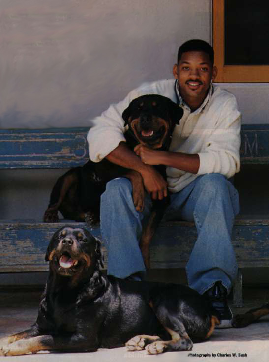 Will Smith picture
